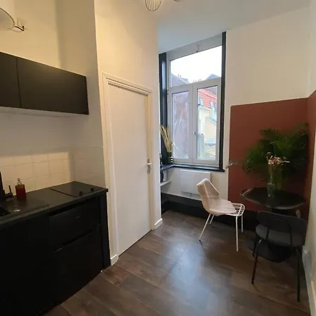 Apartment Barbieux Apartment, Near The Metro, Pets Accepted *
